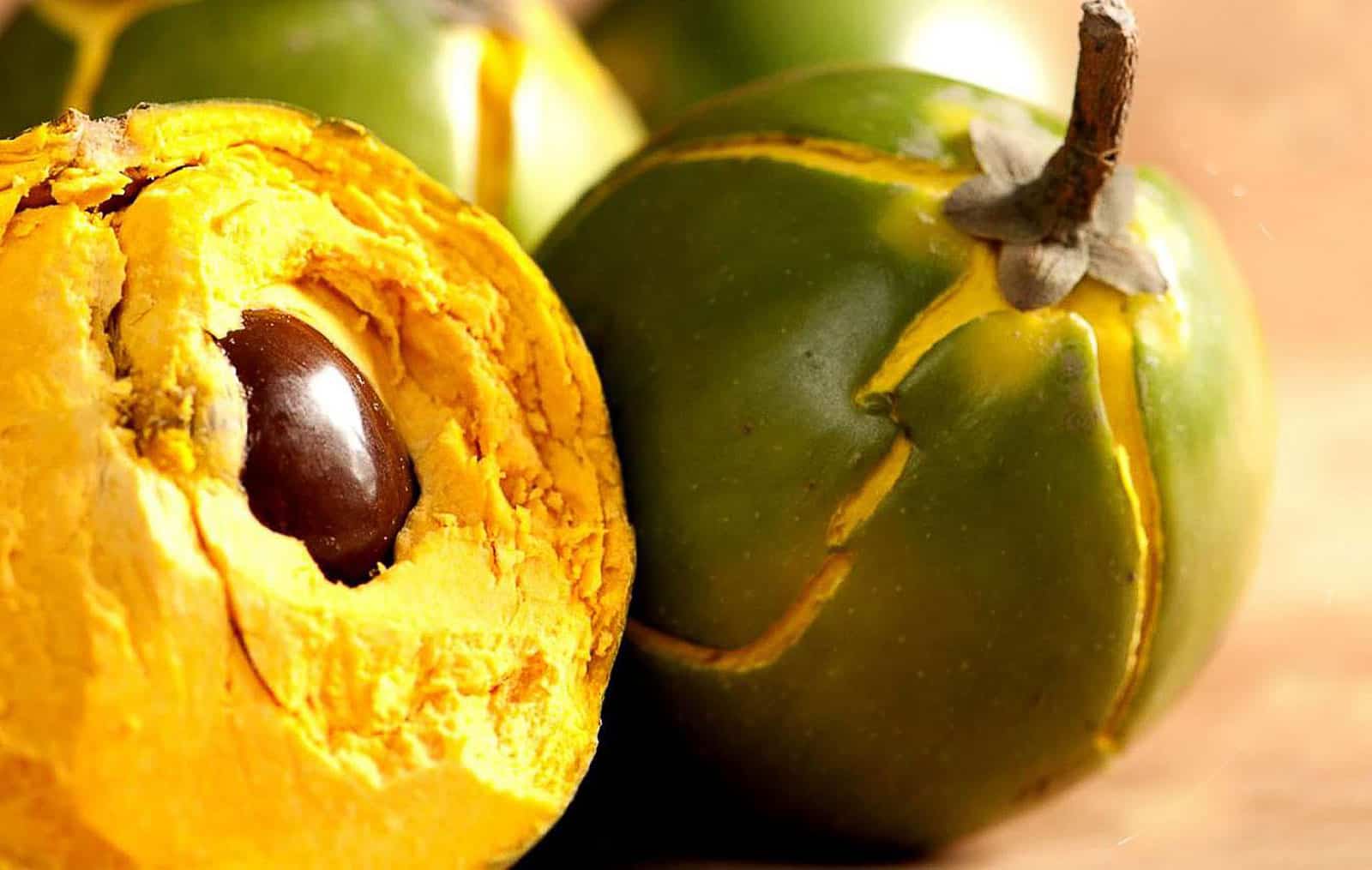 Lucuma